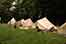 _DSC5796.jpg