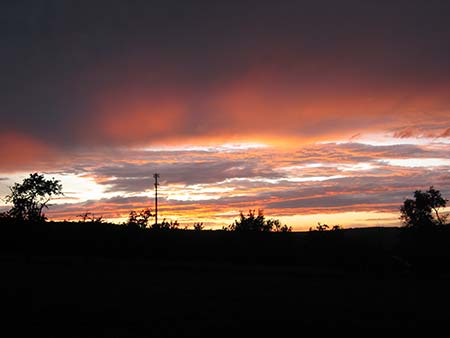 12_IMG_6841.JPG