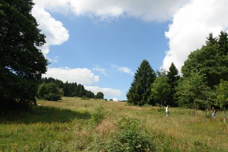 picture_021.jpg