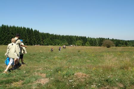 picture_001.jpg