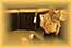 DSC04038.JPG