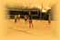 DSC05053.JPG
