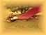 DSCN0679.JPG