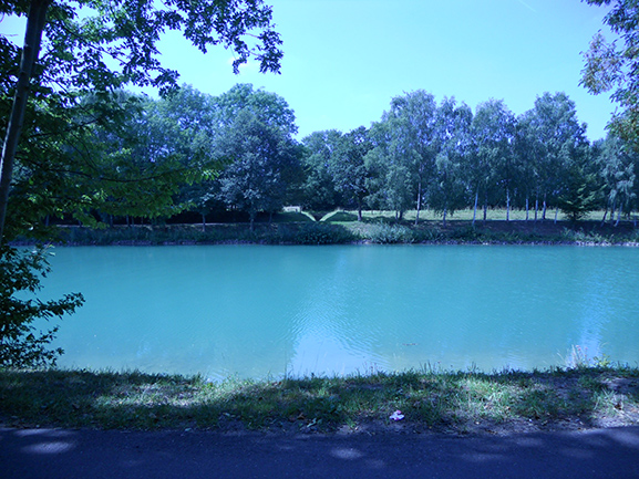 DSCN0712.JPG
