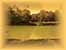 DSCN0712.JPG