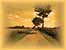 DSCN0783.JPG