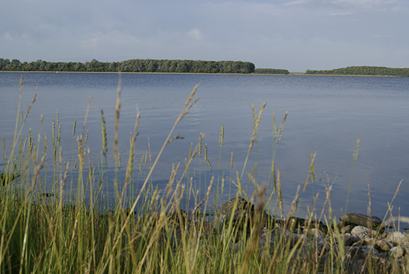 _DSC8868.JPG