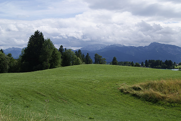 _DSC3728.jpg