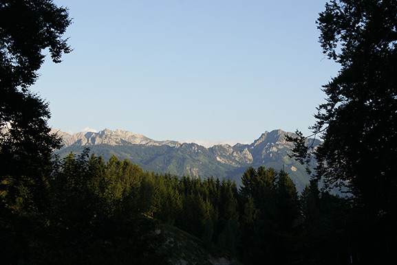 _DSC3848.jpg