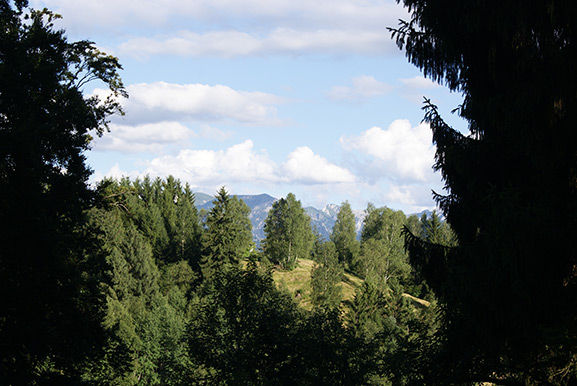 _DSC4009.jpg