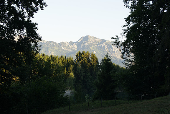 _DSC4273.jpg