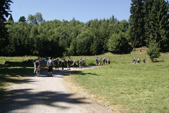 _DSC4368.jpg