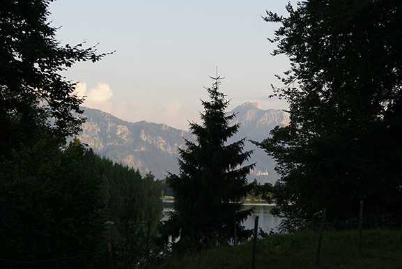 _DSC1786.jpg