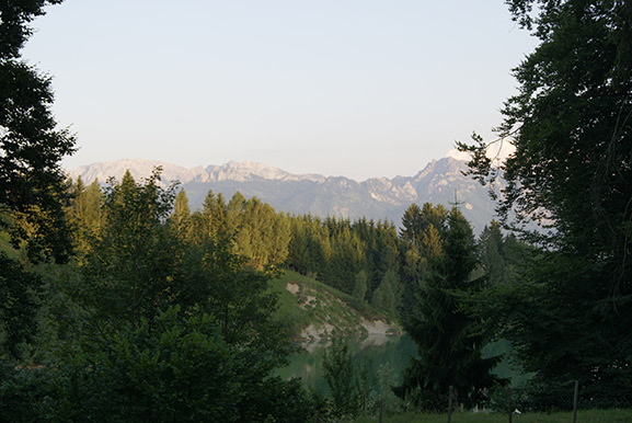 _DSC1796.jpg
