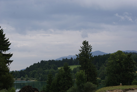 _DSC2321.jpg