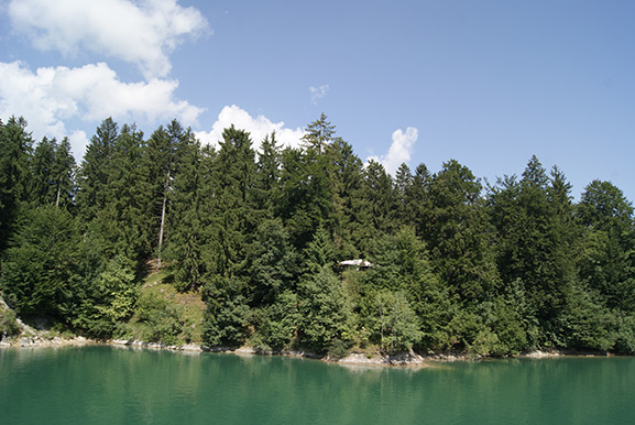 _DSC2520.jpg