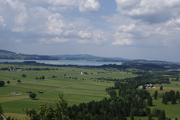 _DSC2616.jpg