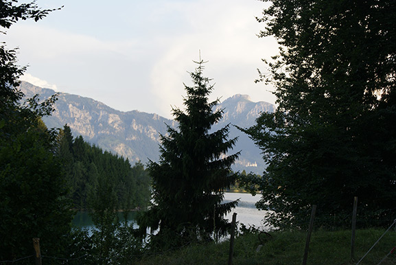 _DSC3139.jpg