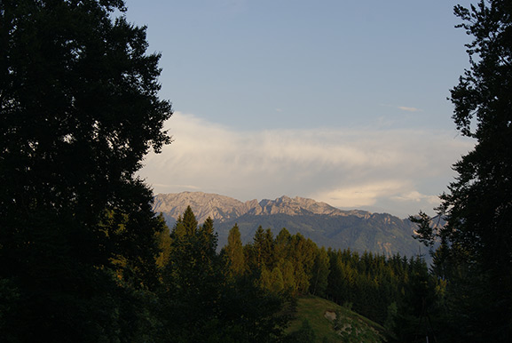 _DSC3146.jpg