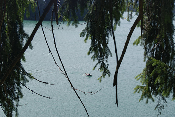 _DSC3418.jpg