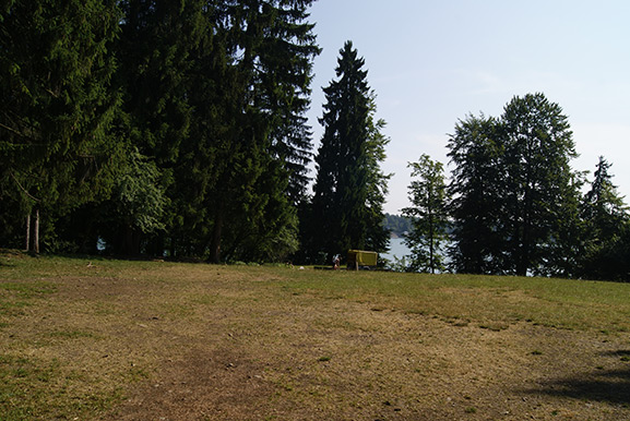 _DSC1502.jpg
