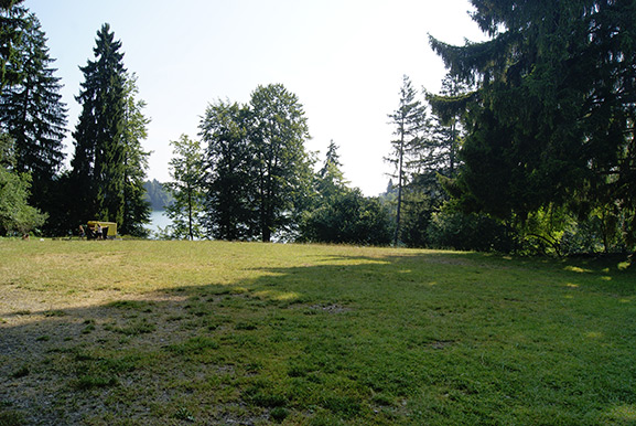 _DSC1503.jpg