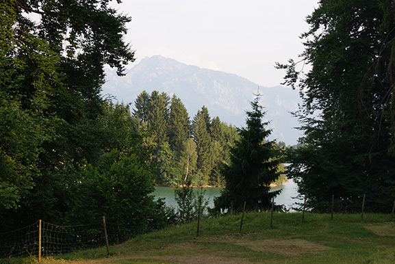 _DSC1578.jpg
