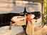 DSCN4469.jpg