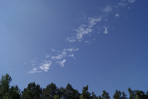 _DSC7552.jpg