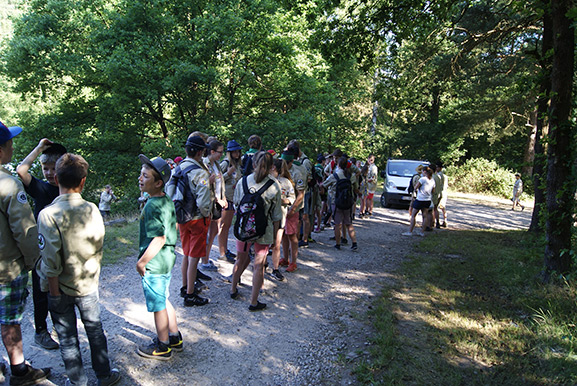 _DSC8878.jpg