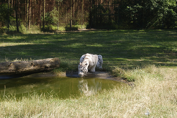 _DSC9369.jpg