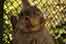 _DSC8990.jpg