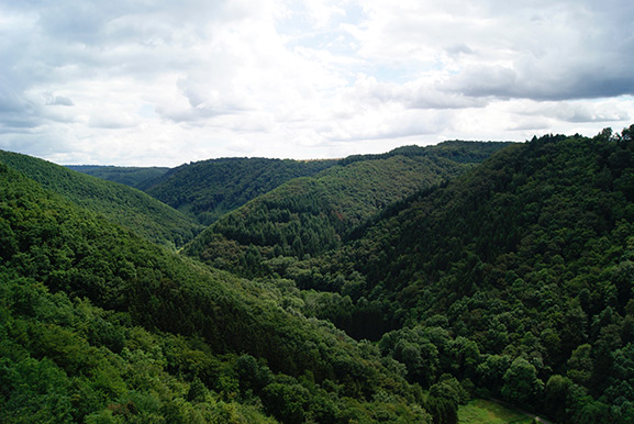 _DSC4628.jpg