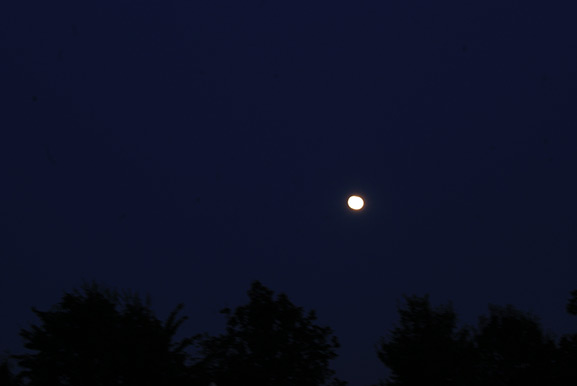 _DSC4824.jpg