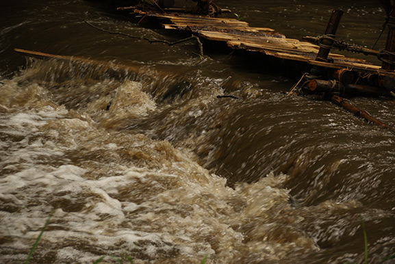 _DSC8687.jpg