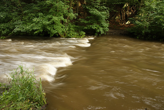_DSC8790.jpg