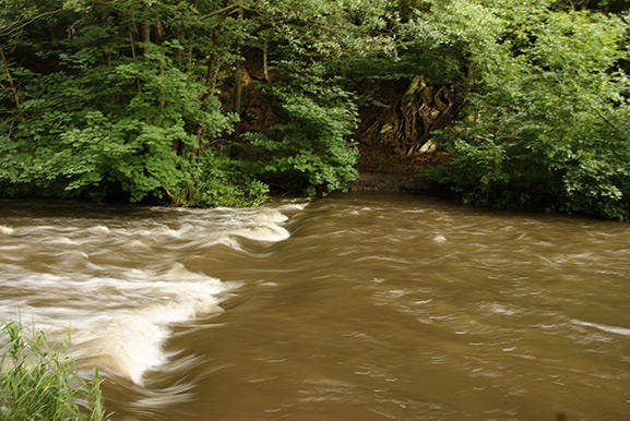 _DSC8792.jpg