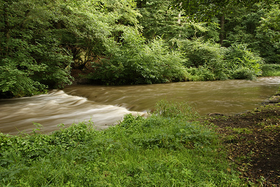 _DSC8798.jpg