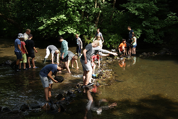 _DSC6654.jpg