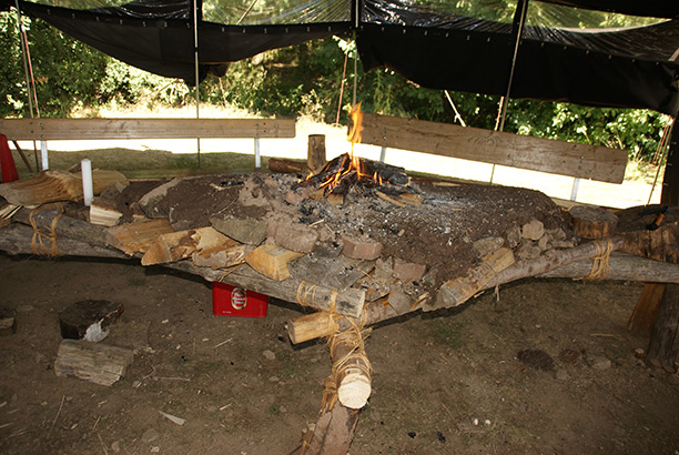 _DSC9687.jpg