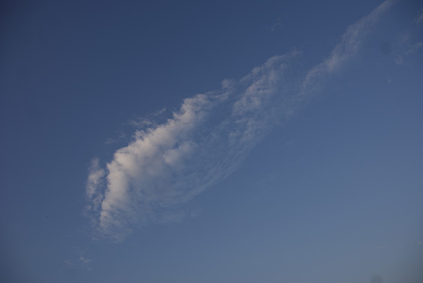 _DSC9403.jpg