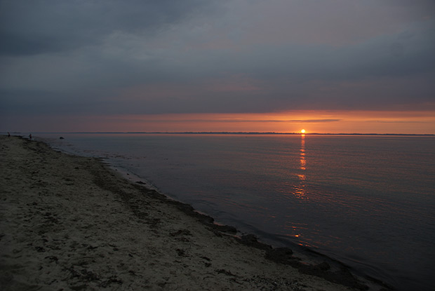 _DSC2645.jpg