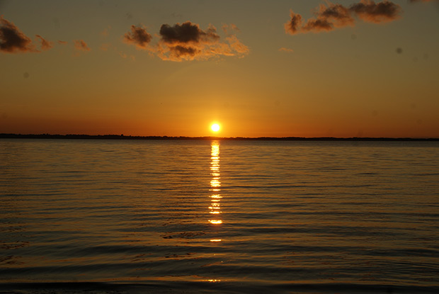 _DSC9121.jpg