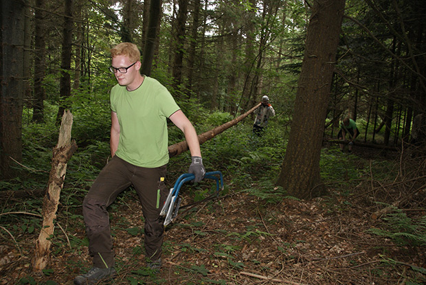 _DSC8091.jpg