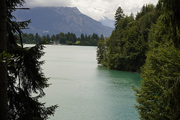 _DSC3787.jpg