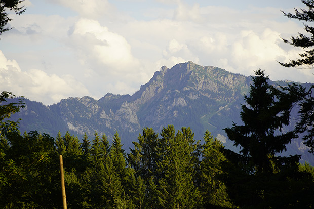 _DSC0508.jpg