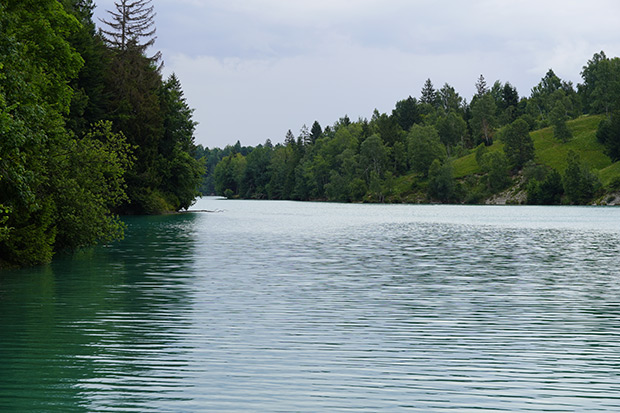 _DSC1495.jpg
