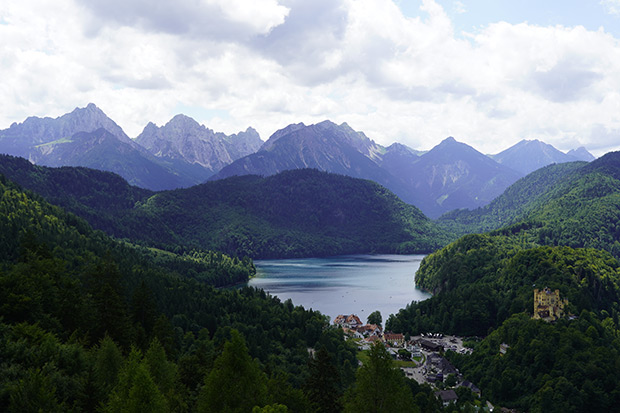 _DSC2003.jpg