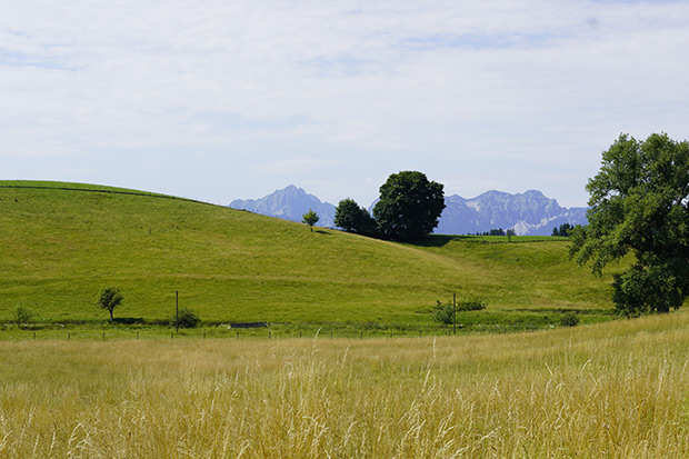 _DSC2982.jpg