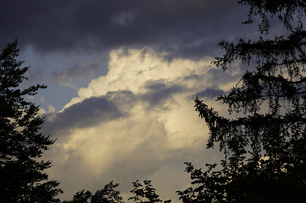 _DSC0041.jpg